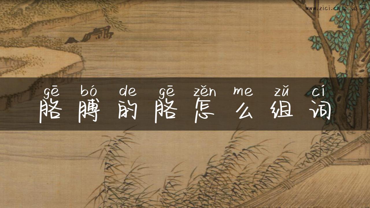 胳膊的胳怎么组词