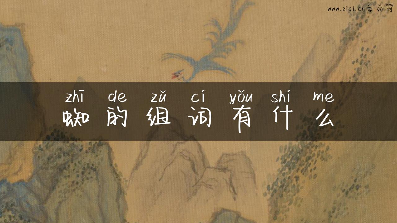 蜘的组词有什么