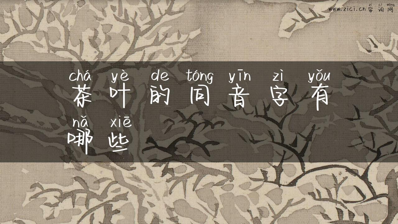 茶叶的同音字有哪些