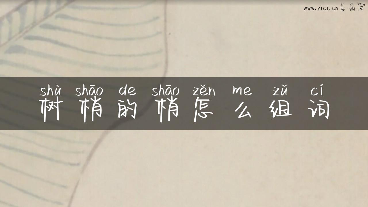 树梢的梢怎么组词