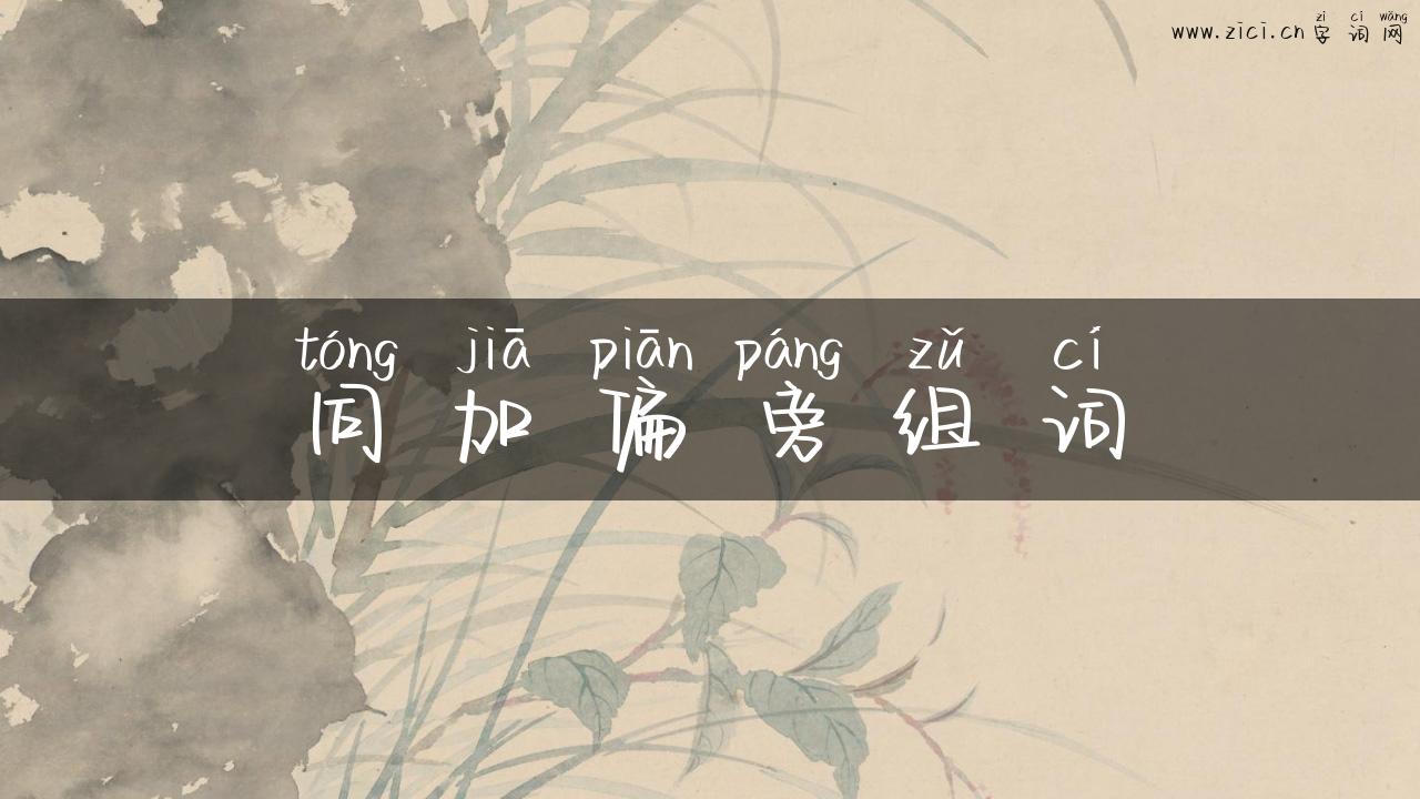 同加偏旁组词