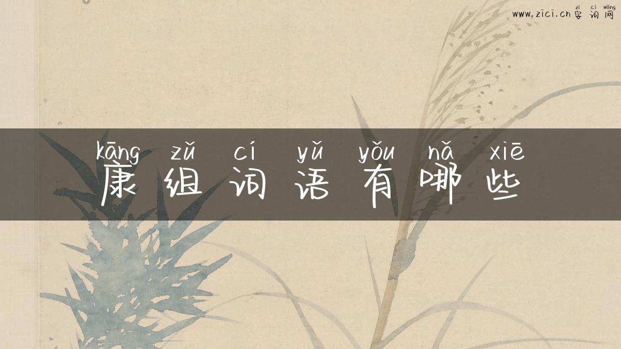 康组词语有哪些