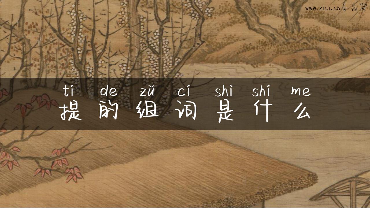 提的组词是什么