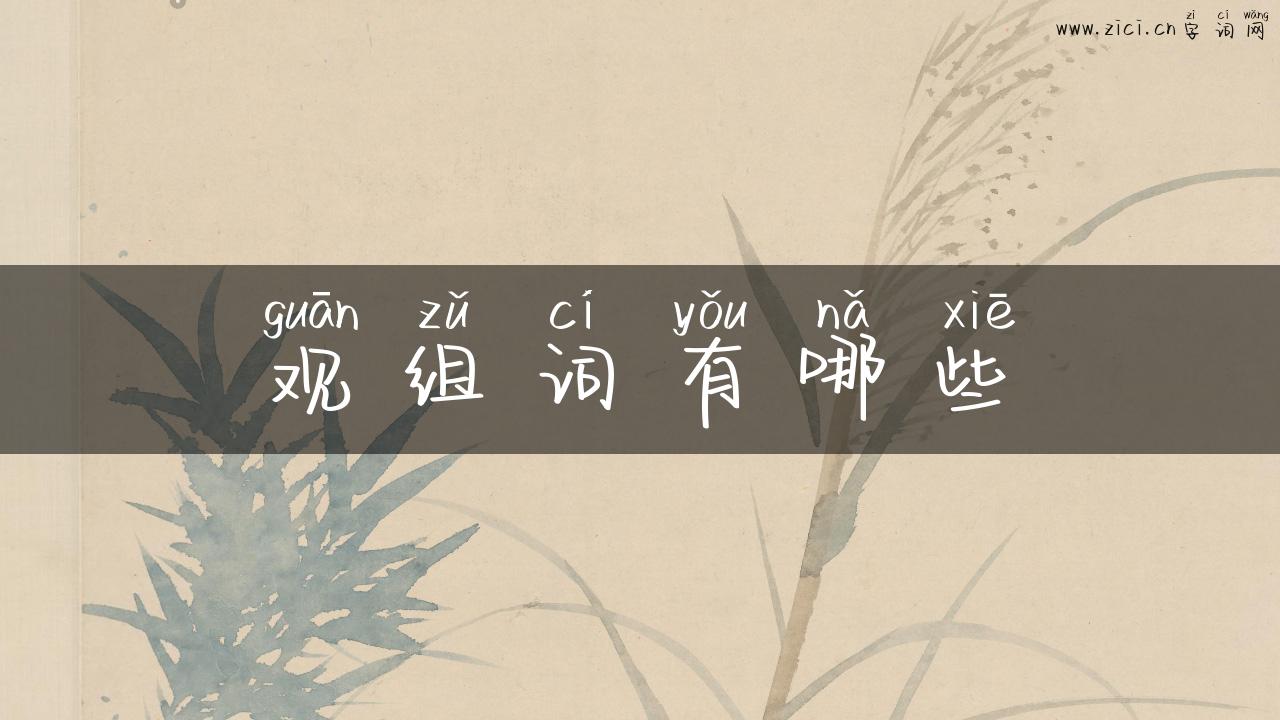 观组词有哪些