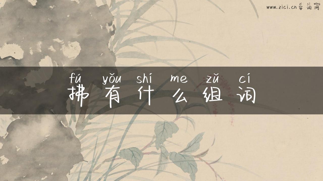 拂有什么组词