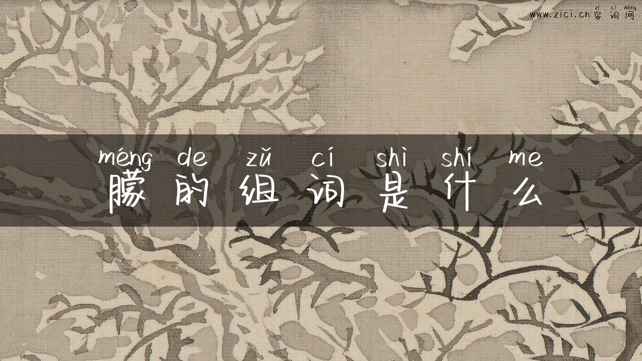朦的组词是什么