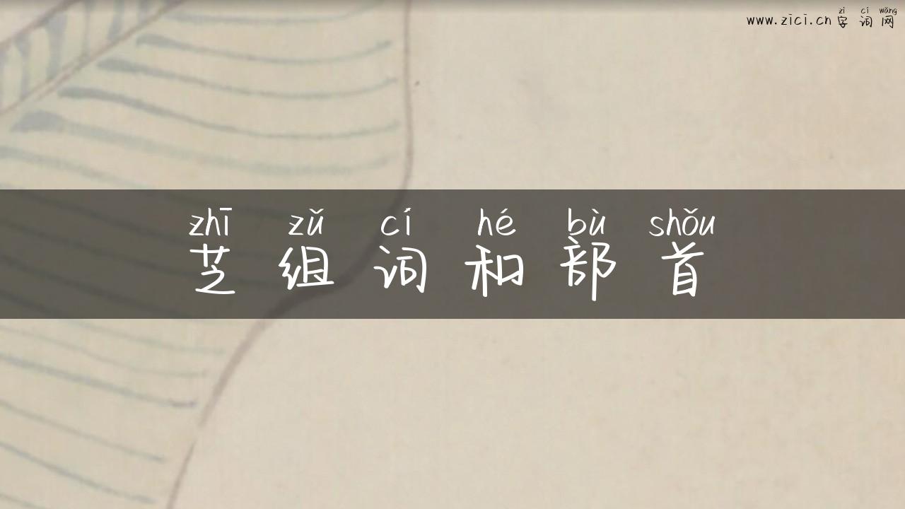 芝组词和部首