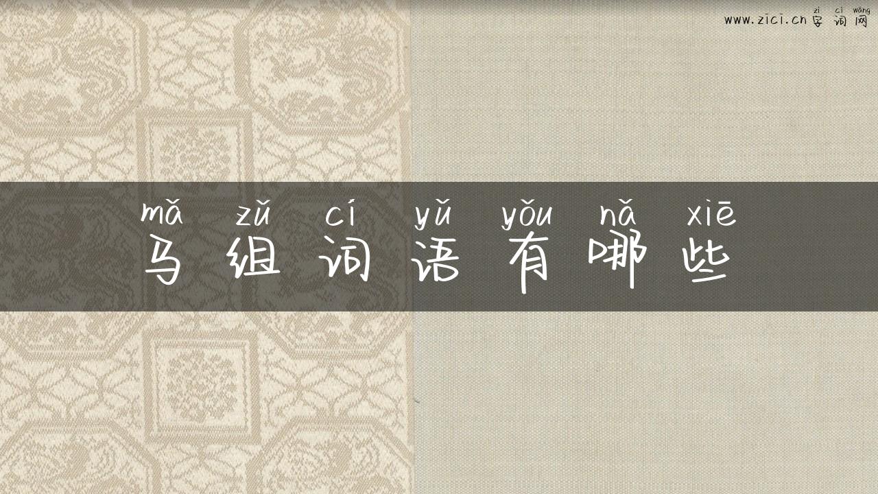 马组词语有哪些
