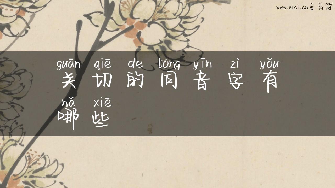 关切的同音字有哪些