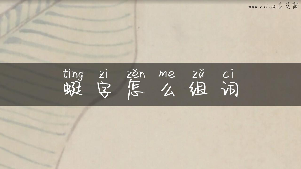 蜓字怎么组词