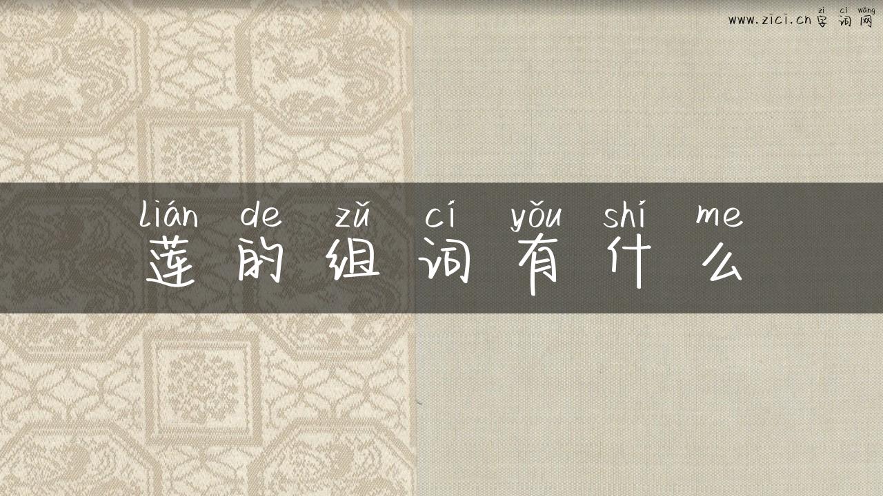 莲的组词有什么