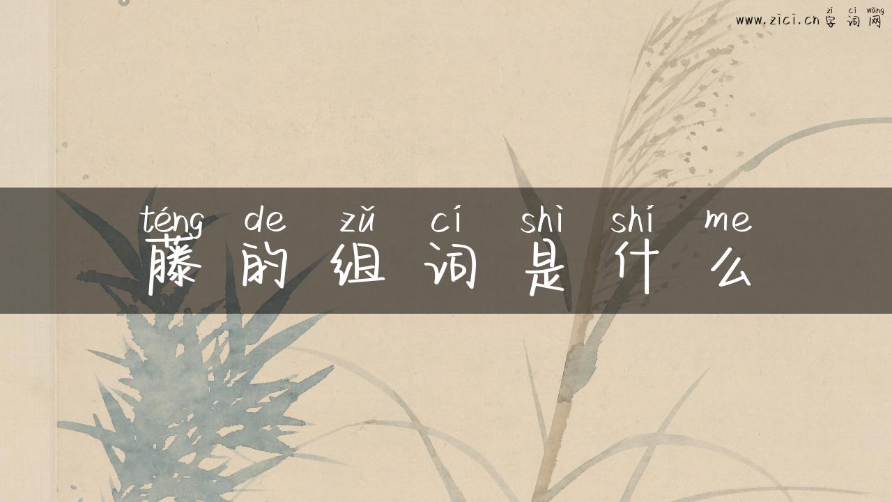 藤的组词是什么