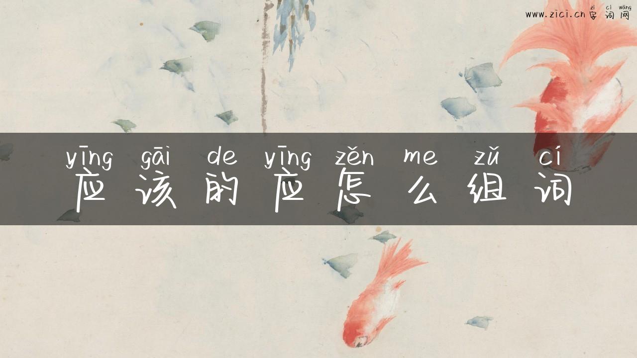 应该的应怎么组词