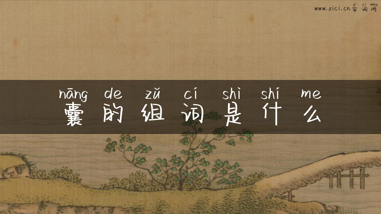 囊的组词是什么
