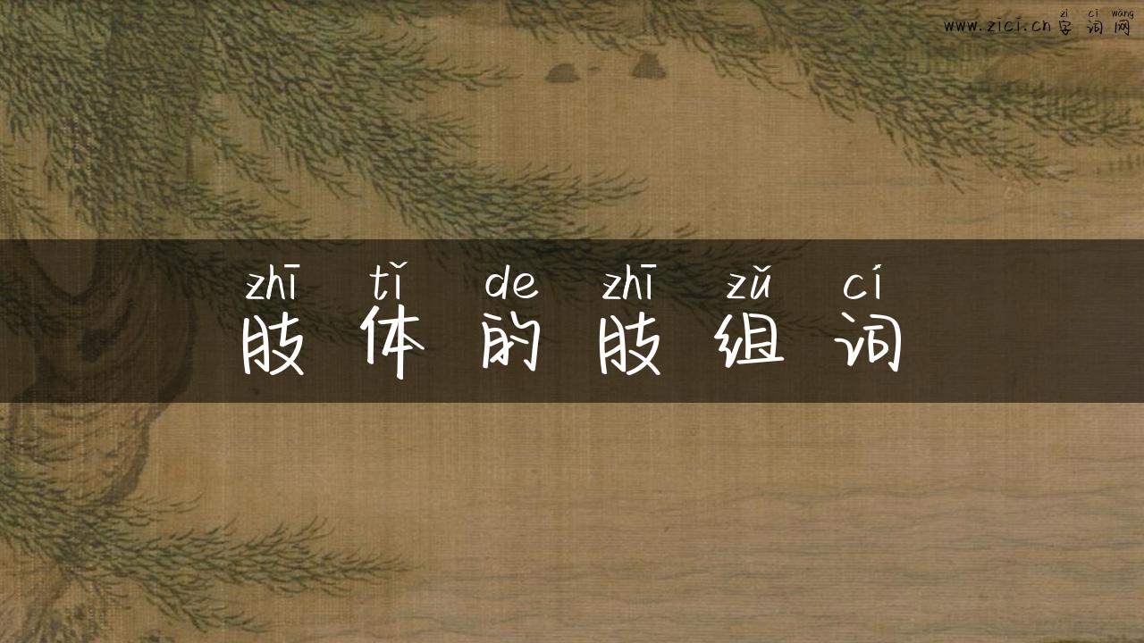 肢体的肢组词