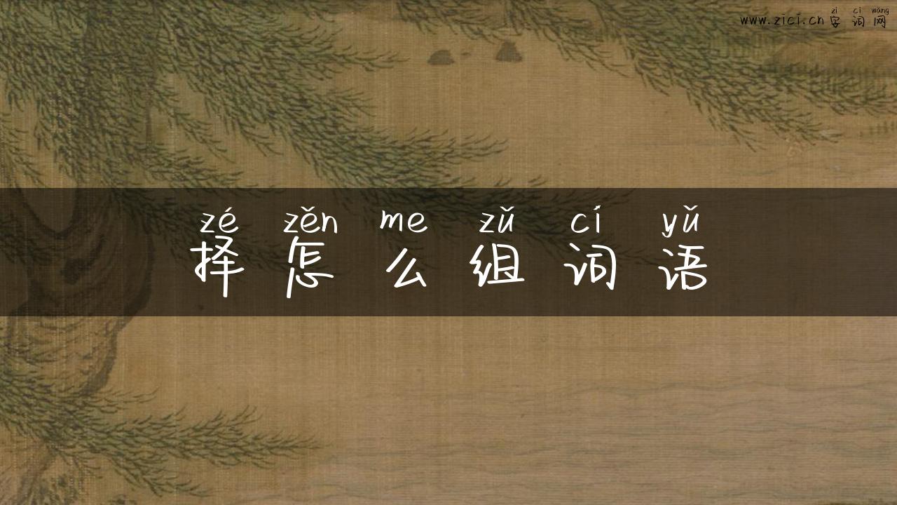 择怎么组词语