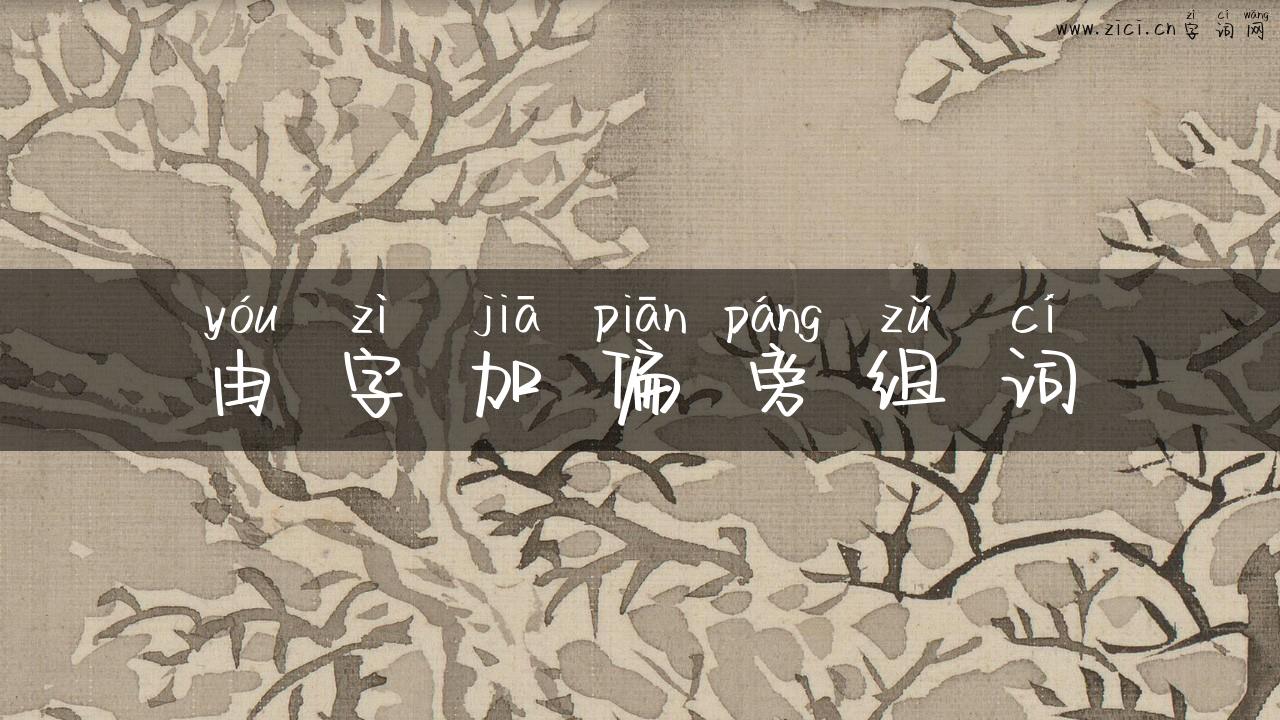 由字加偏旁组词