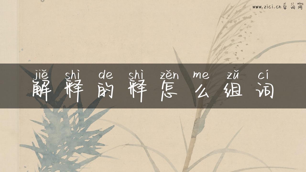 解释的释怎么组词