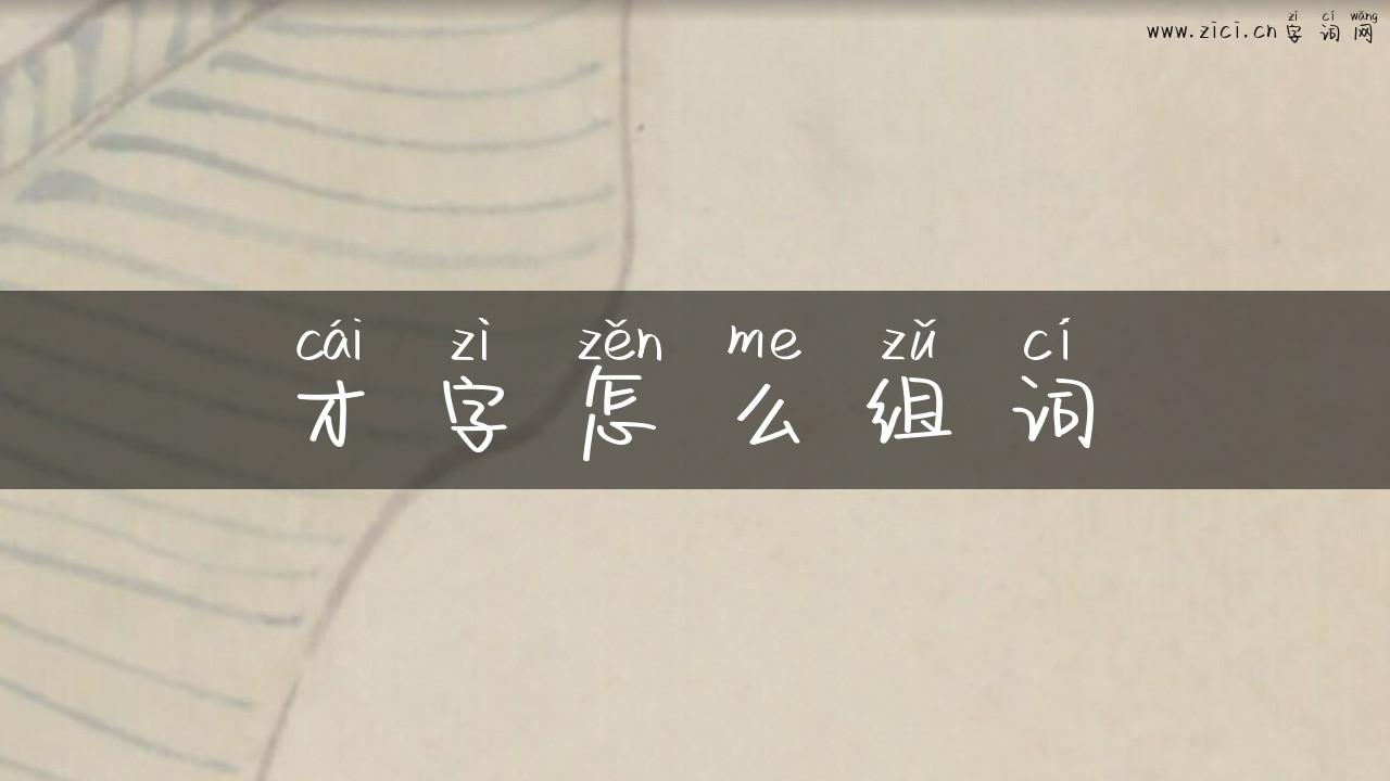 才字怎么组词