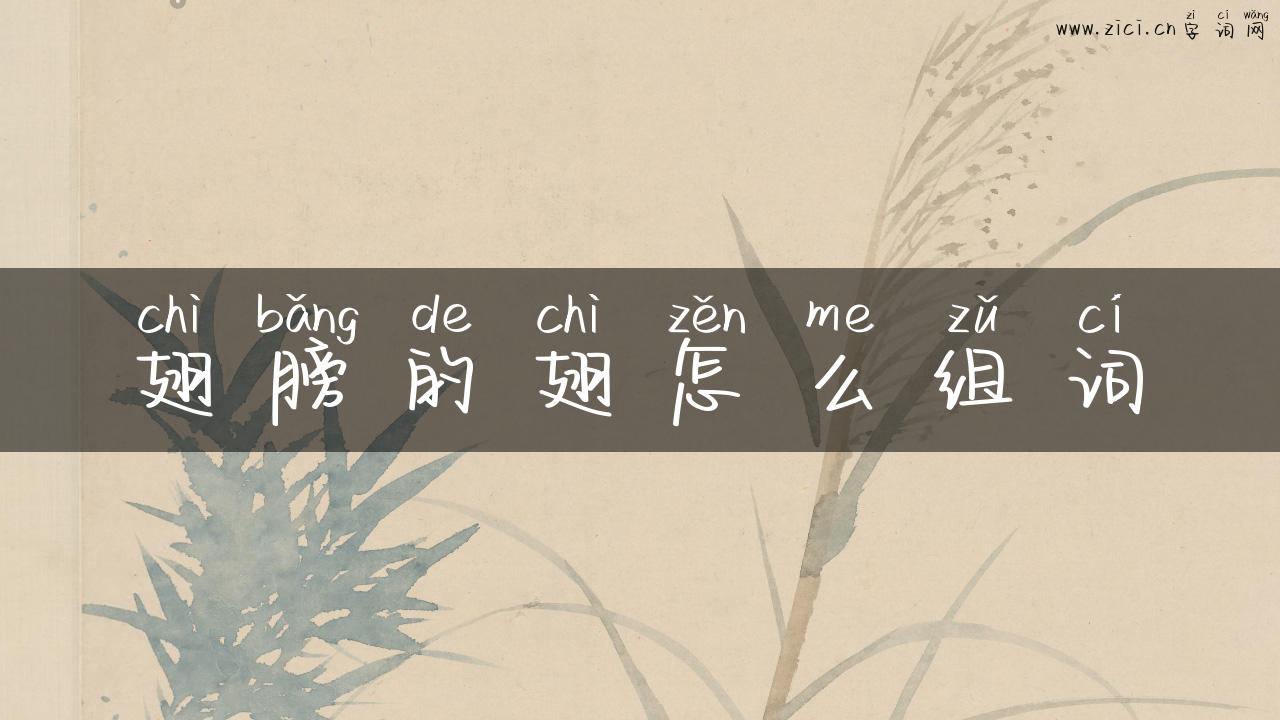 翅膀的翅怎么组词