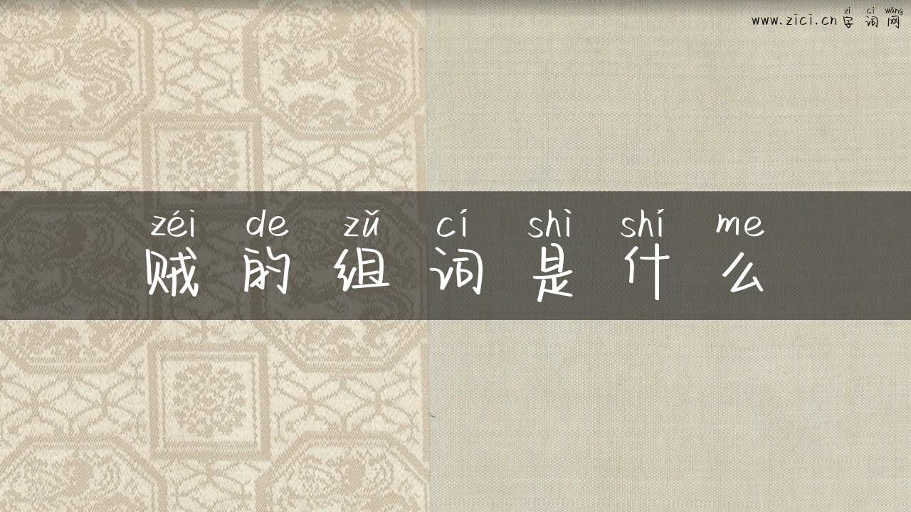 贼的组词是什么