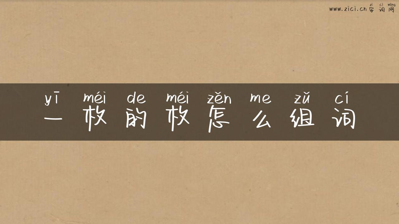 一枚的枚怎么组词