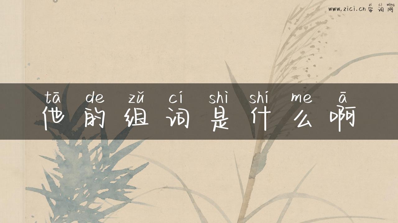 他的组词是什么啊