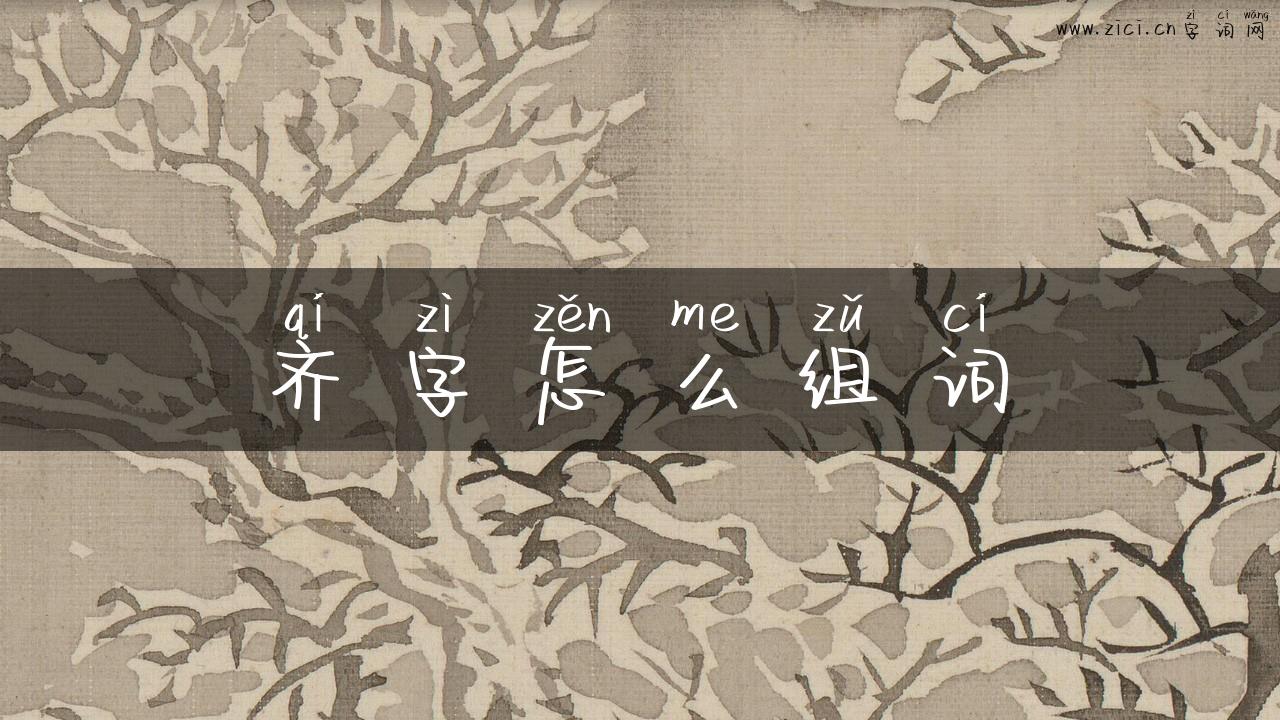 齐字怎么组词