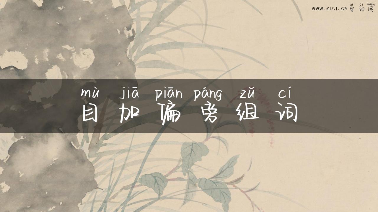 目加偏旁组词