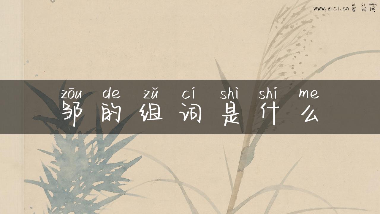 邹的组词是什么