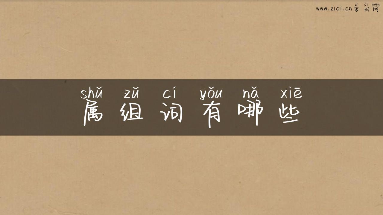 属组词有哪些