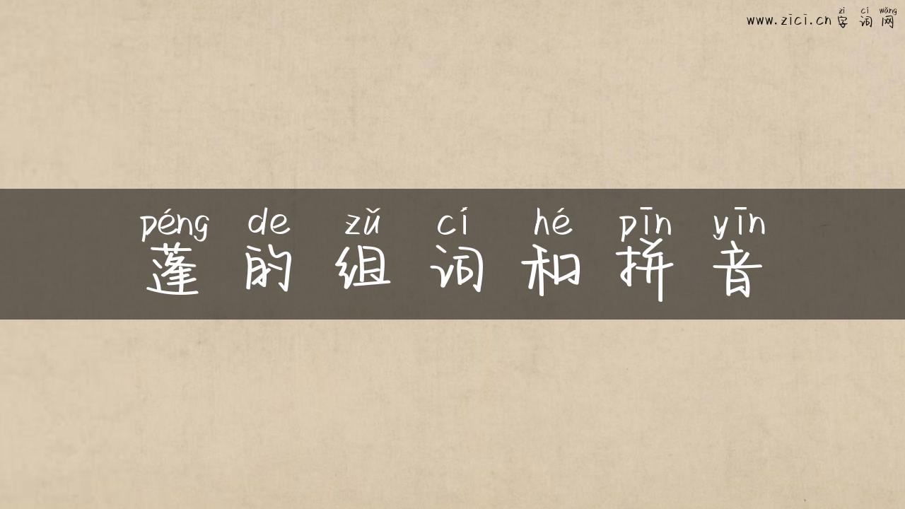 蓬的组词和拼音
