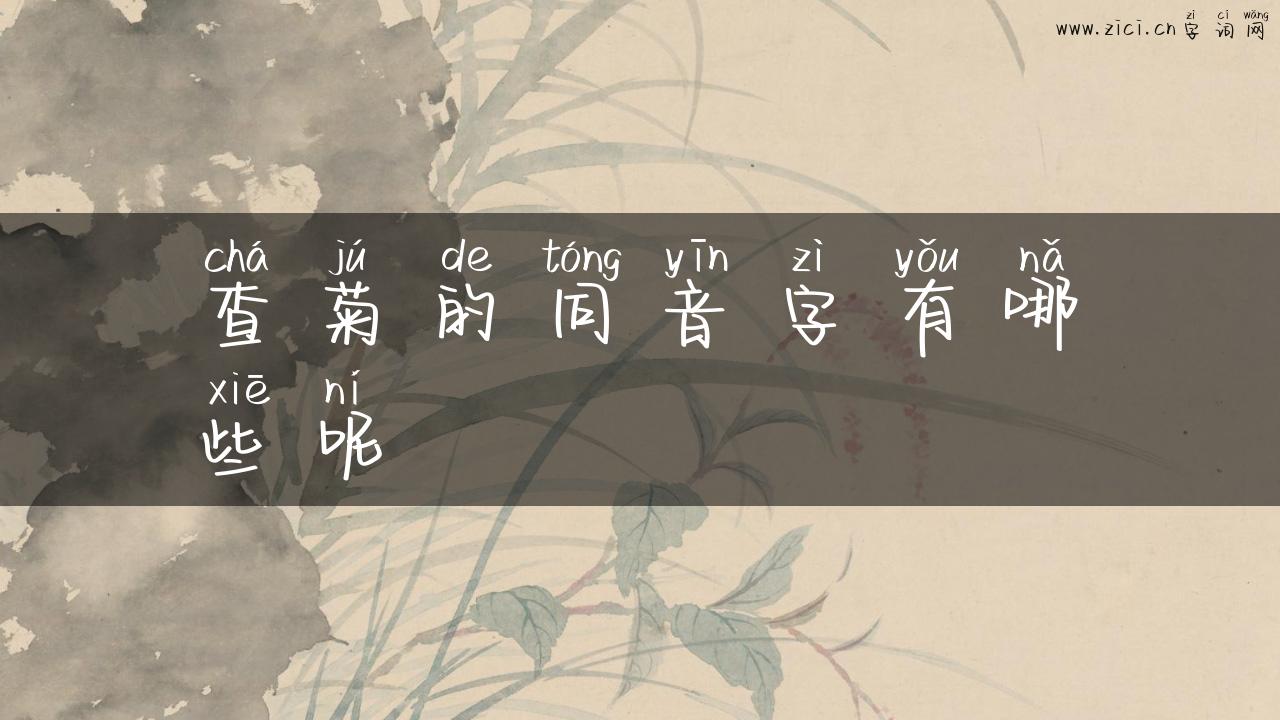 查菊的同音字有哪些呢