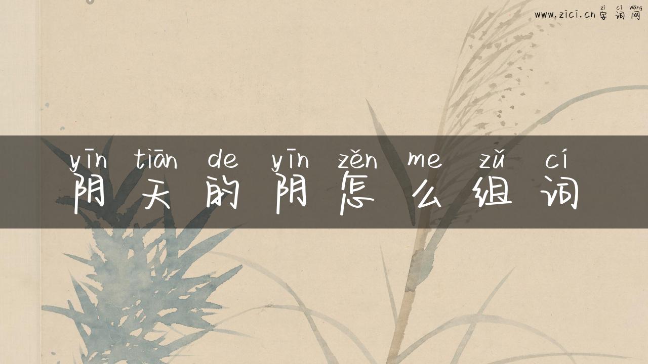阴天的阴怎么组词