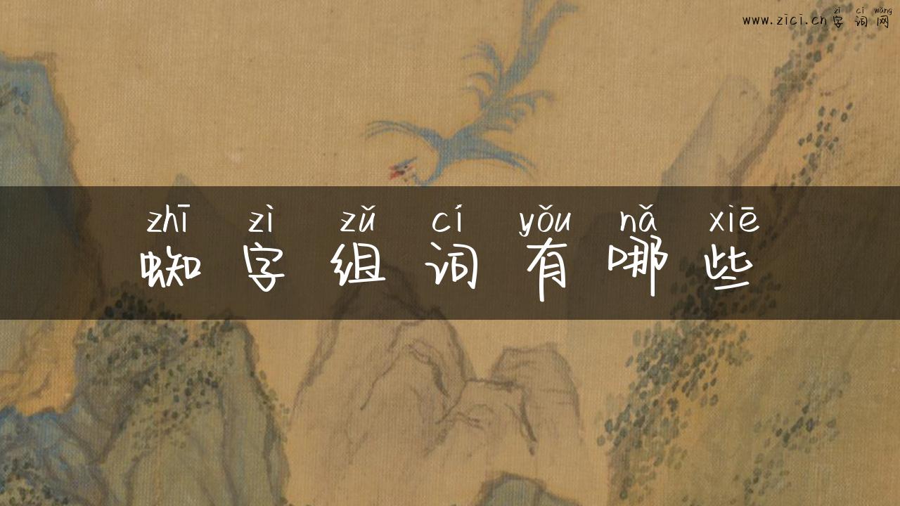 蜘字组词有哪些