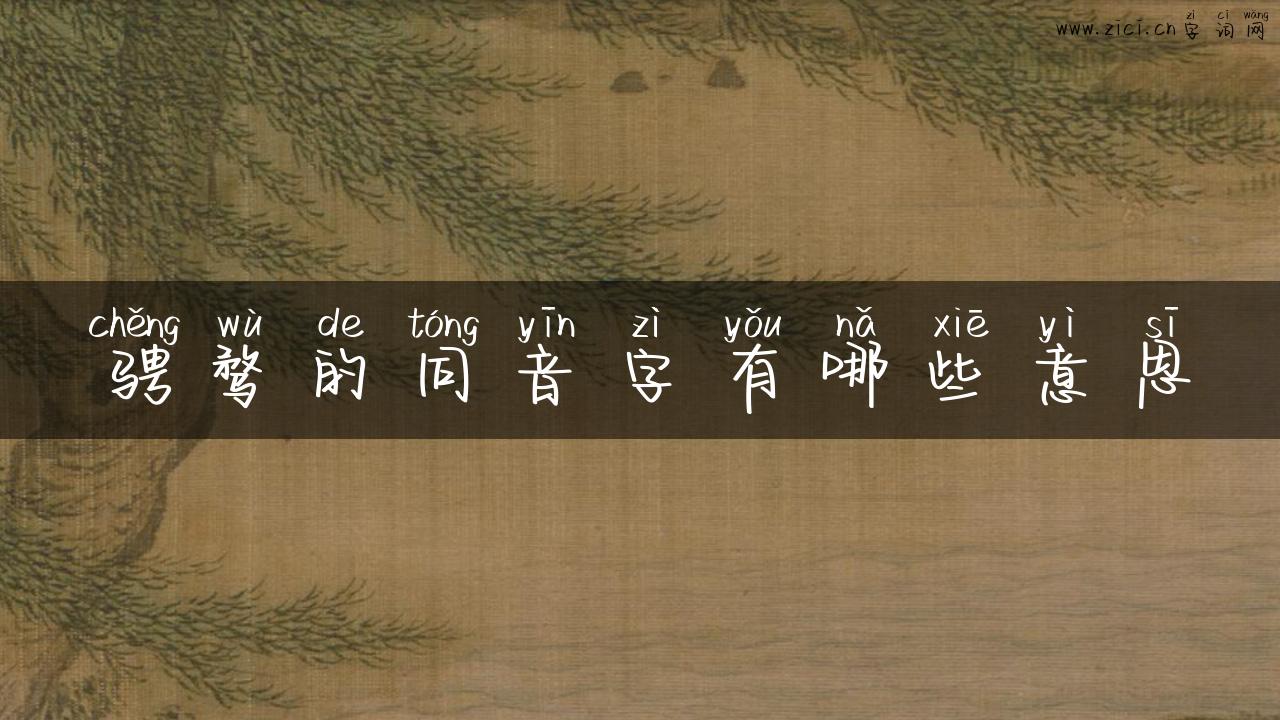 骋骛的同音字有哪些意思