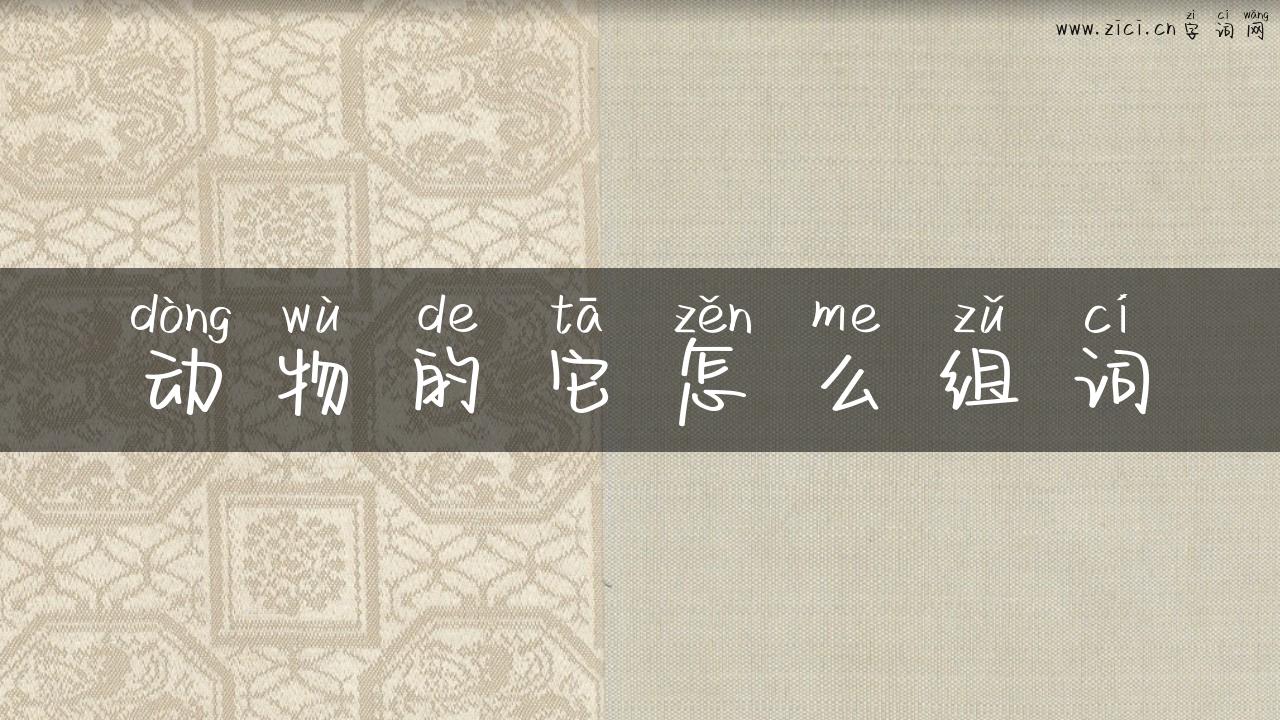 动物的它怎么组词