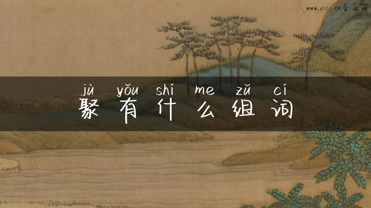聚有什么组词