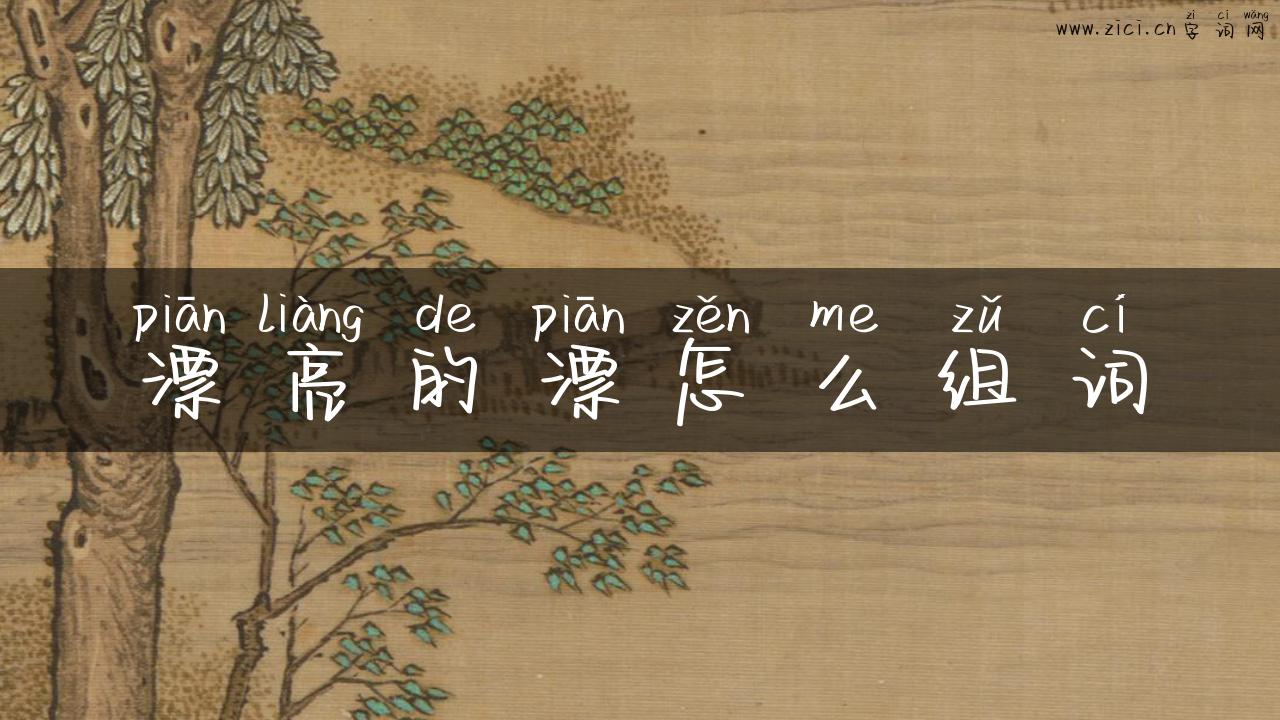 漂亮的漂怎么组词