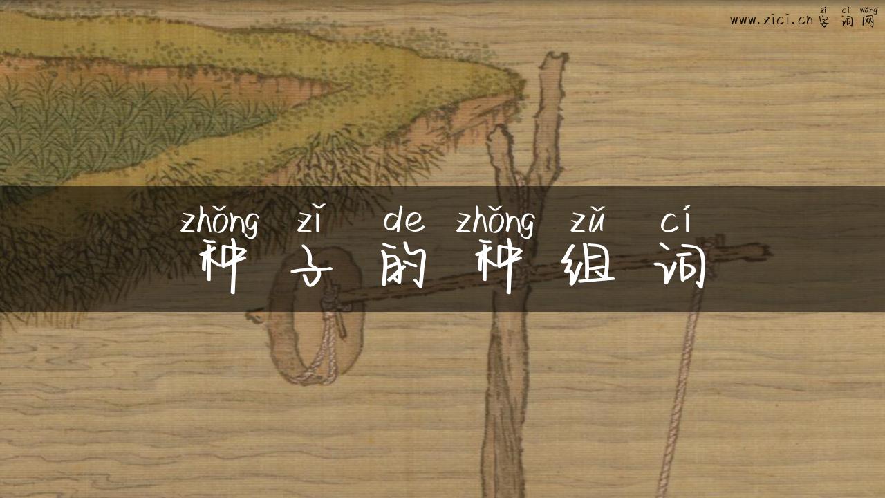 种子的种组词