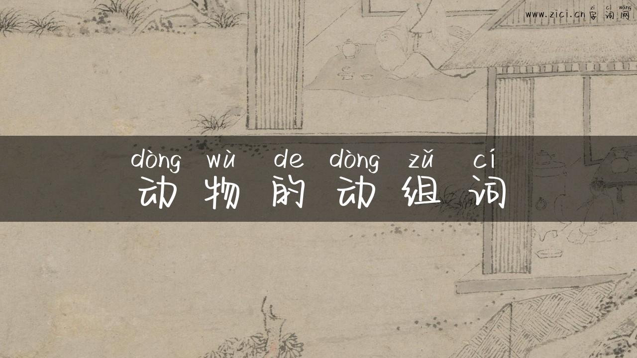 动物的动组词