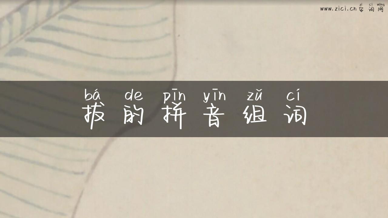 拔的拼音组词