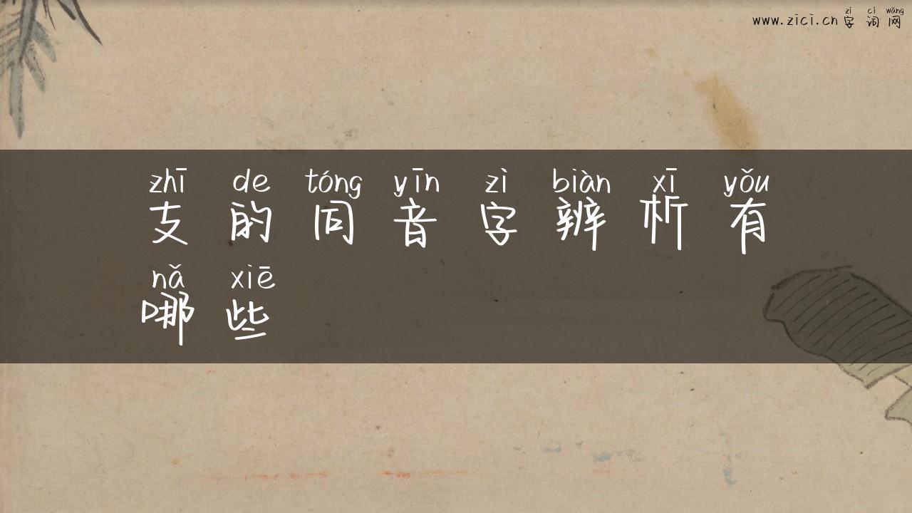 支的同音字辨析有哪些