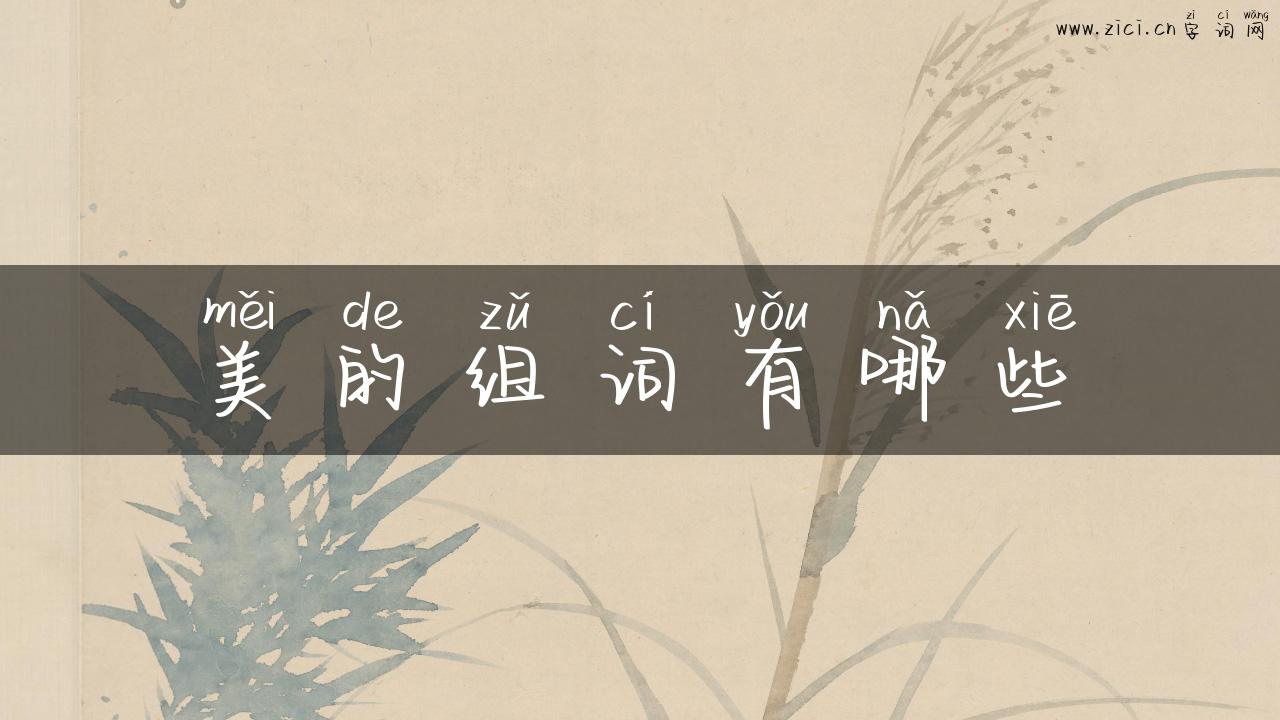 美的组词有哪些
