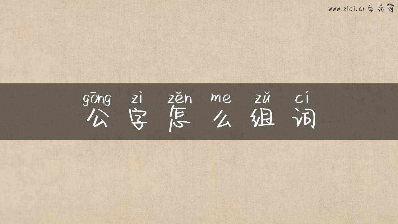 公字怎么组词