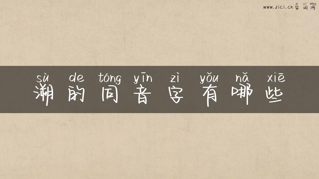 溯的同音字有哪些