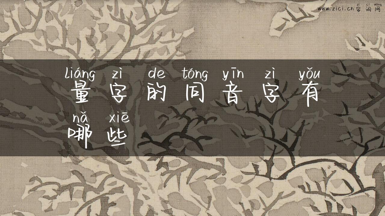 量字的同音字有哪些