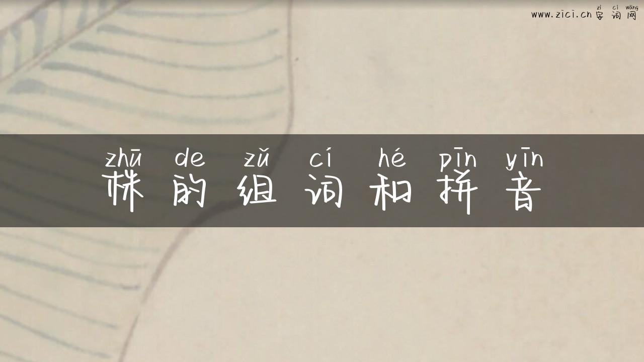 株的组词和拼音