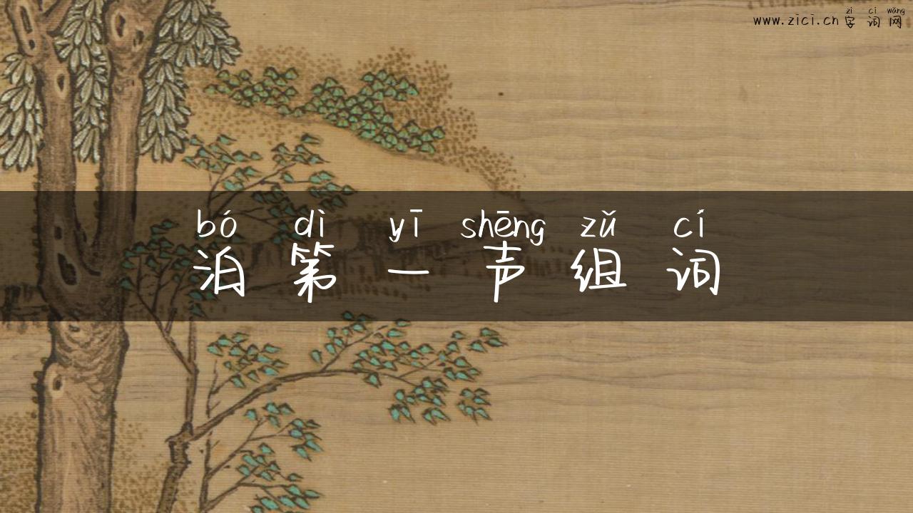 泊第一声组词