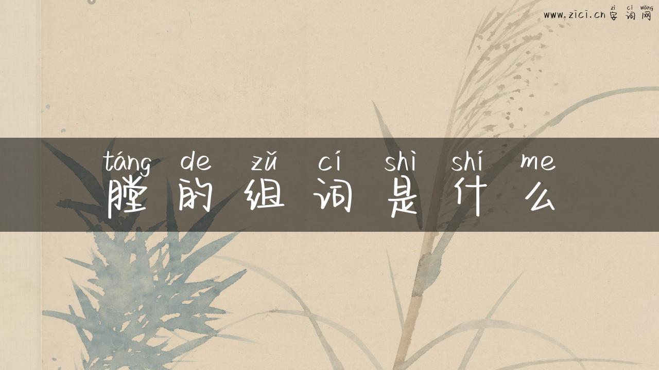 膛的组词是什么